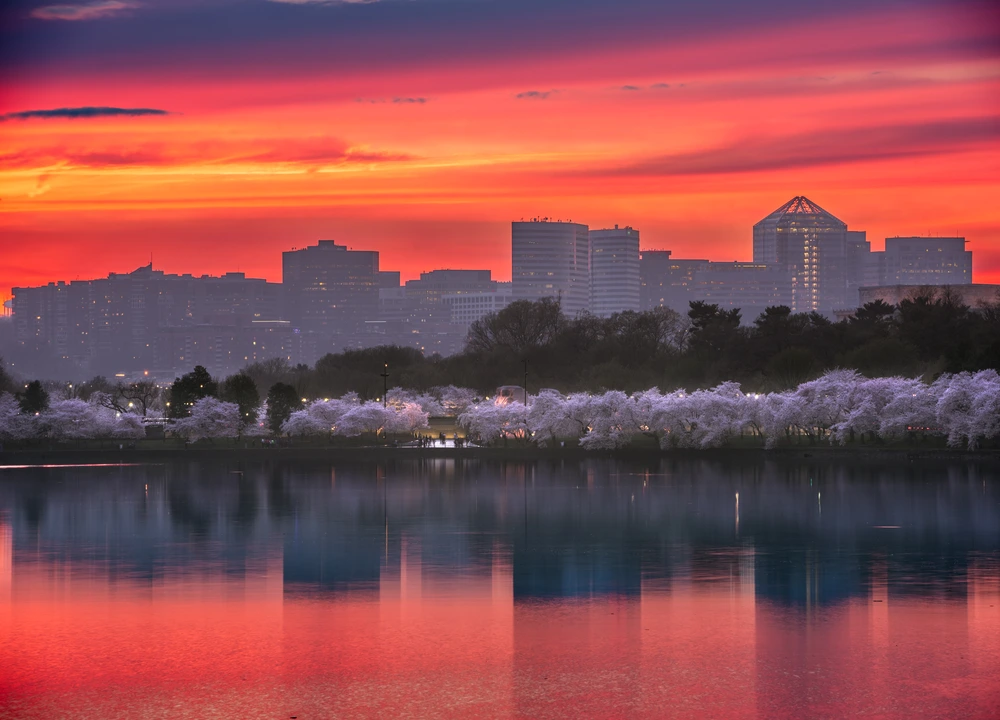 High-rise buildings glowing in golden hour light