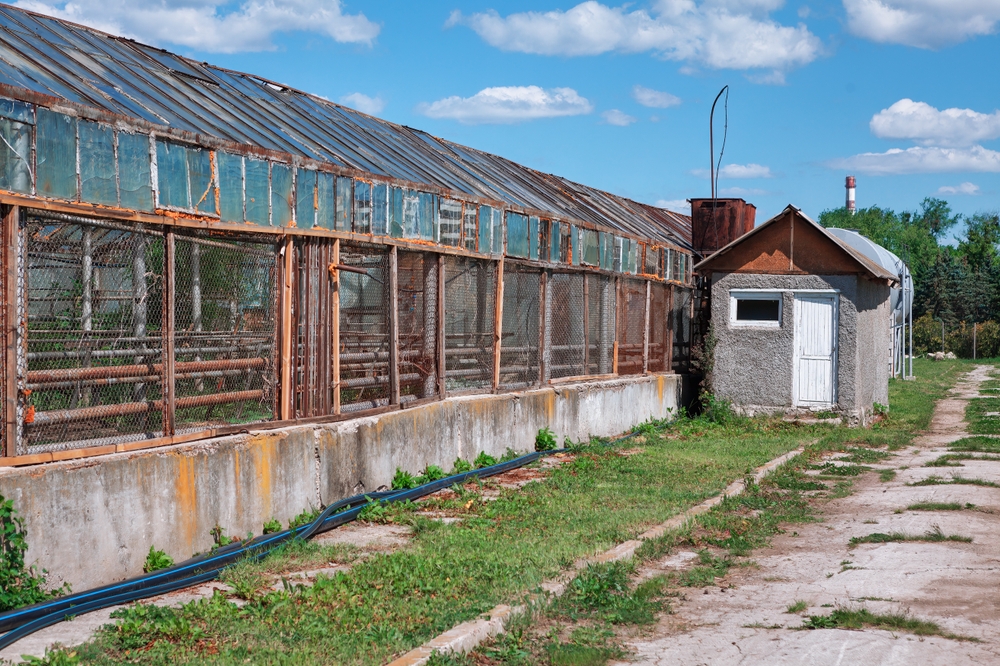 commercial greenhouse